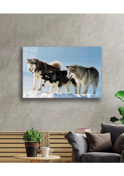 Marsilyan- Kurt Köpeği Cam Tablo fiyatları