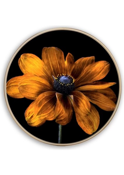 Çiçek Yuvarlak Cam Tablo modelleri