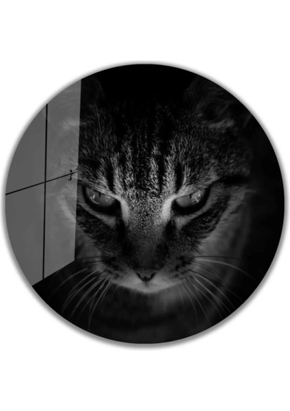 Kedi Yuvarlak Cam Tablo 4mm Dayanıklı Temperli Cam