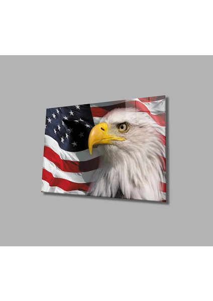 Marsilyan- Kartallı Amerika Bayrağı Cam Tablo American Eagle Flag