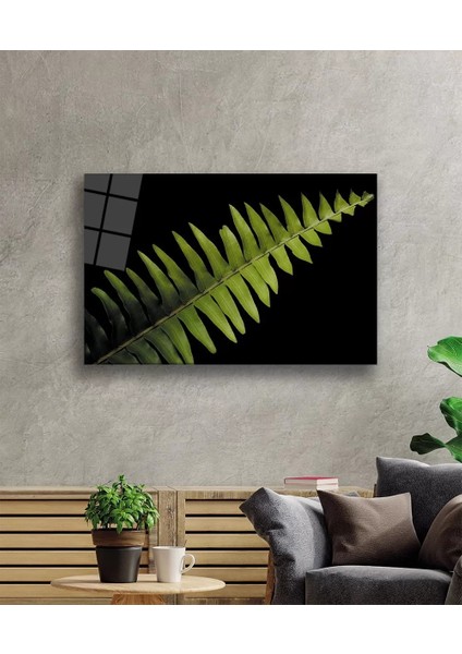 Marsilyan- Aşk Merdiveni Çiçeği Yeşil Bitki fiyatları