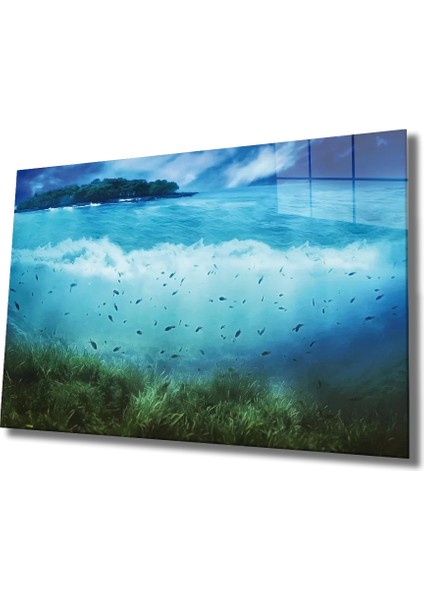 Marsilyan- Sualtı Cam Tablo Marine Life