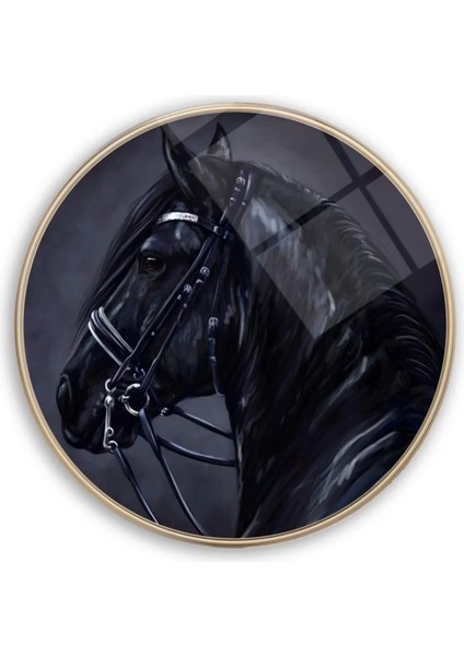 Siyah At Yuvarlak Cam Tablo fiyatları