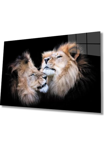 Marsilyan- Aslan Cam Tablo