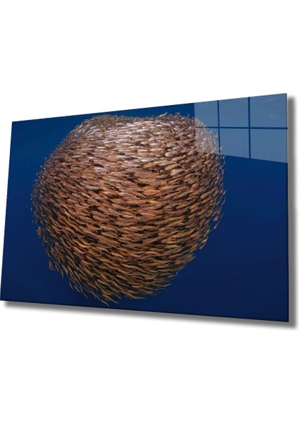 Marsilyan- Toplu Balıklar Cam Tablo Fishes Marine