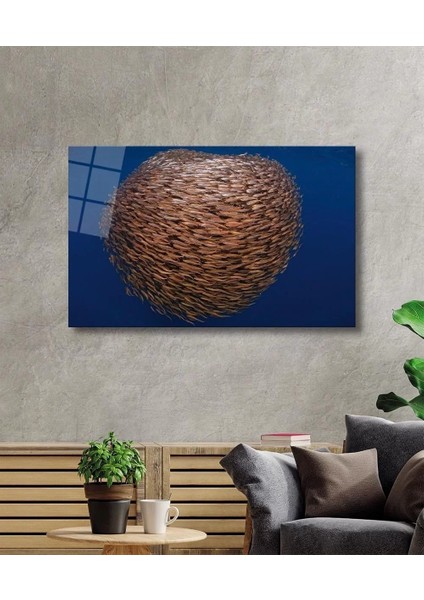 Marsilyan- Toplu Balıklar Cam Tablo Fishes Marine fiyatları