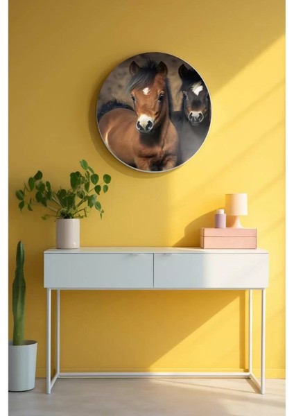 - Yuvarlak Sanatsal, Dekoratif Baskı Cam Tablo 112