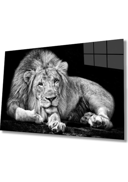 Marsilyan- Aslan Hayvan Cam Tablo
