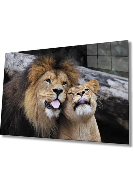 Marsilyan- Aslan Cam Tablo