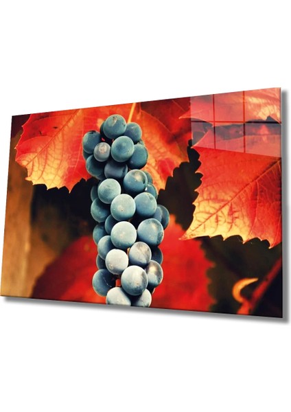 Marsilyan- Siyah Üzüm Cam Tablo grape Art