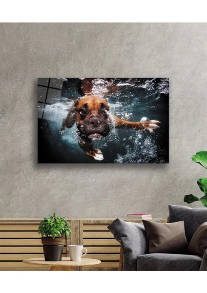 Marsilyan- Yüzen Köpek Cam Tablo fiyatları
