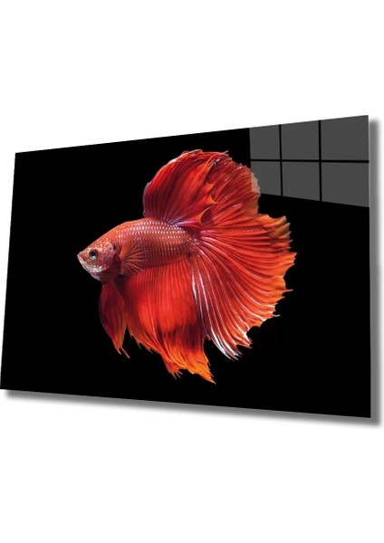 Marsilyan- Turuncu Balık Cam Tablo Orange Fish