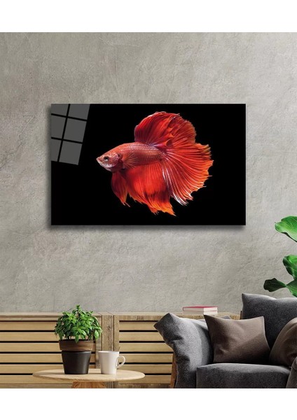 Marsilyan- Turuncu Balık Cam Tablo Orange Fish fiyatları