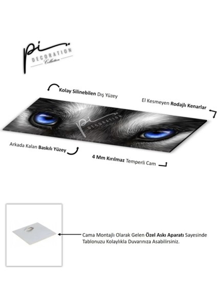 Kurt Panoramik Cam Tablo fırsatları