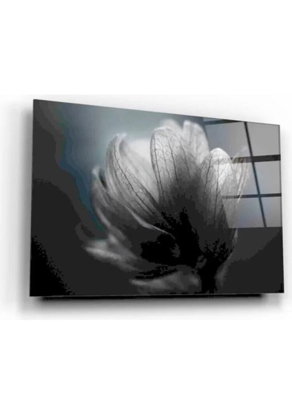 Çiçek Cam Tablo 50 x 70 cm modelleri