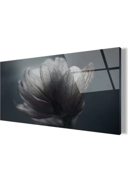 Çiçek Cam Tablo 50 x 70 cm fırsatları