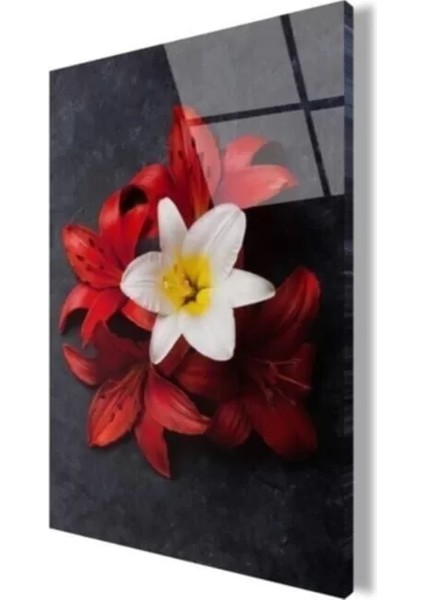 Çiçek Cam Tablo fırsatları