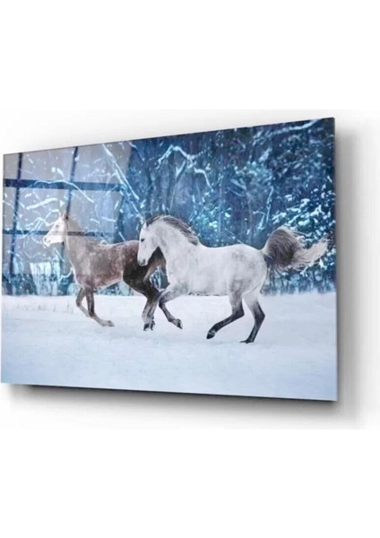 Atlar Cam Tablo 50 x 70 cm