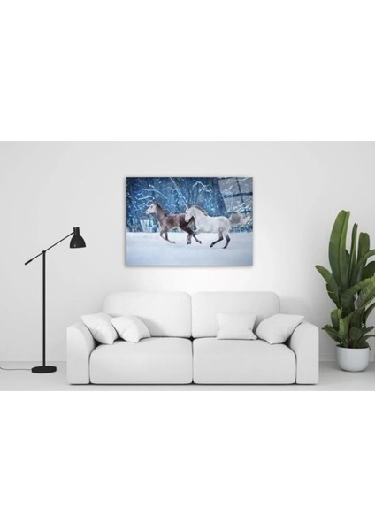 Atlar Cam Tablo 50 x 70 cm fiyatları