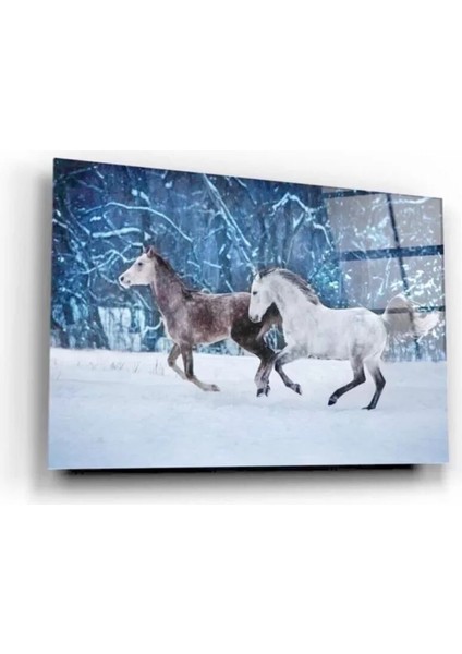 Atlar Cam Tablo 50 x 70 cm modelleri