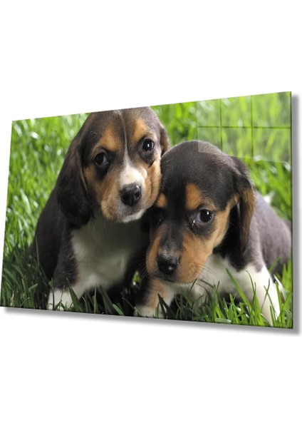 Marsilyan- Köpek Cam Tablo