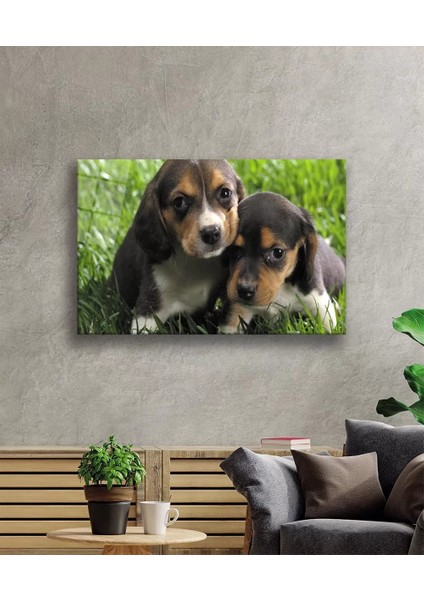 Marsilyan- Köpek Cam Tablo fiyatları