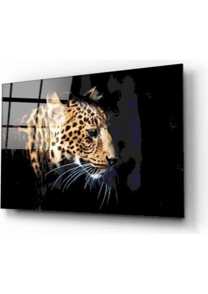 Aslan Cam Tablo 50 x 70 cm
