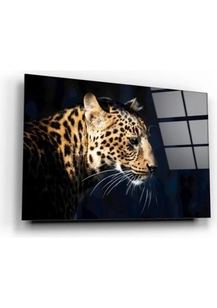 Aslan Cam Tablo 50 x 70 cm