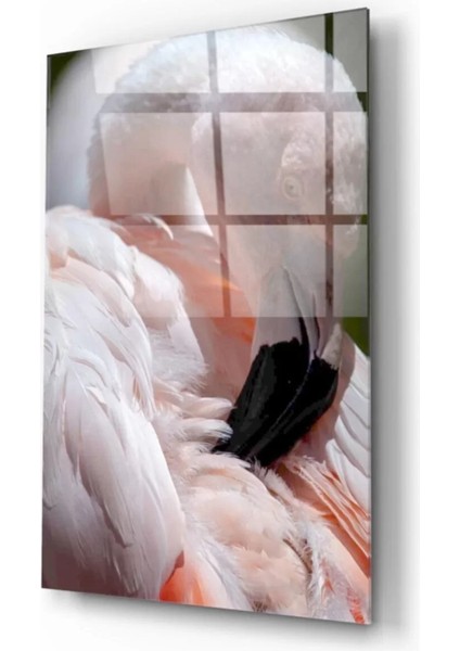 Marsilyan- Flamingo Cam Tablo fiyatları
