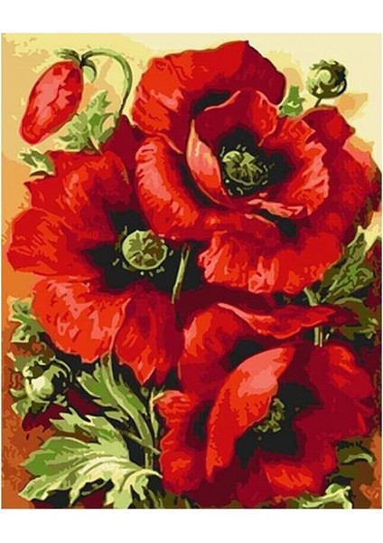 Canvas Gelincik Demeti Sayılarla Boyama Seti Kasnaklı 40 x 50 cm