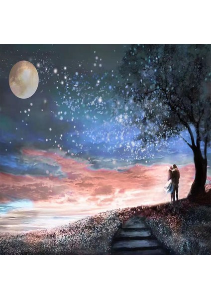 Canvas Dolunayda Aşk Sayılarla Boyama Seti Kasnaklı 40 x 50 cm