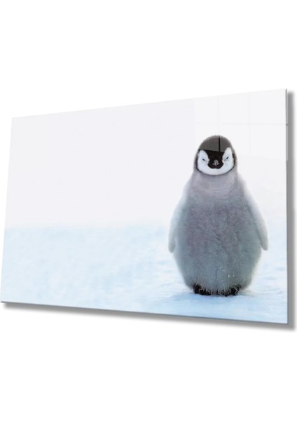 Marsilyan- Penguen Cam Tablo Penguin Table