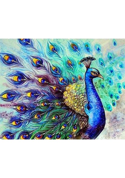 Canvas Bereket Tavus Kuşu Sayılarla Boyama Seti Kasnaklı 40 x 50 cm