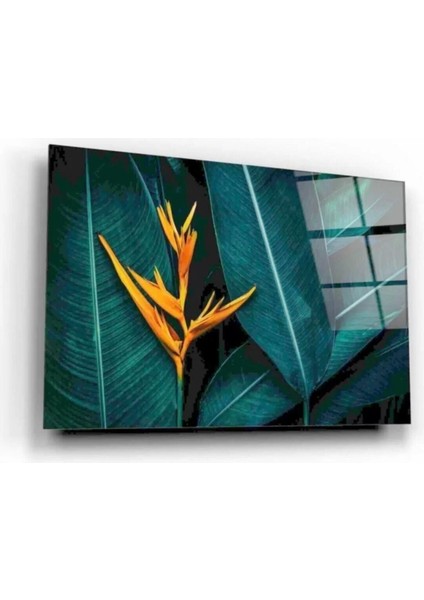 - Yapraklar Cam Tablo fiyatları