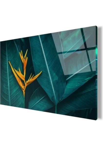 - Yapraklar Cam Tablo fırsatları