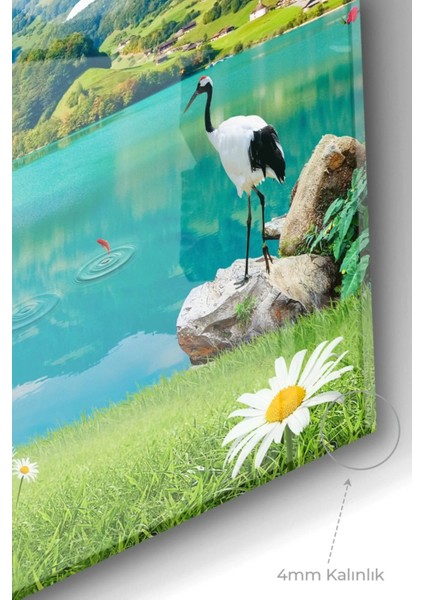 - Gölde Yüzen Kuğular | Hayvan Temalı Cam Tablo | 50X70 cm modelleri