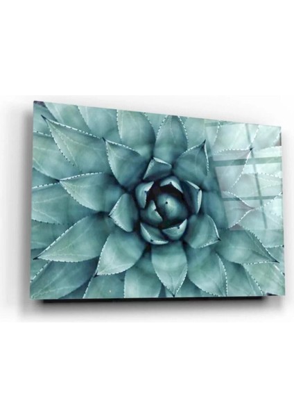 - Çiçek Cam Tablo fiyatları