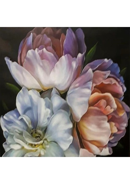 Canvas Şakayık Kıvrımları Sayılarla Boyama Seti Kasnaklı 40 x 50 cm indirimleri