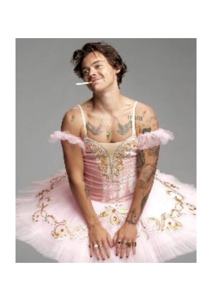 Canvas Harry Styles Sayılarla Boyama Seti Kasnaklı 90 x 110 cm