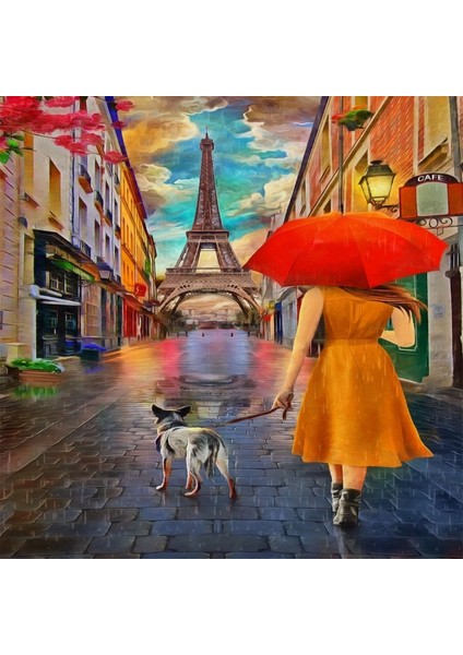 Canvas Köpeğini Gezdiren Kadın Sayılarla Boyama Seti Kasnaklı 40 x 50 cm indirimleri