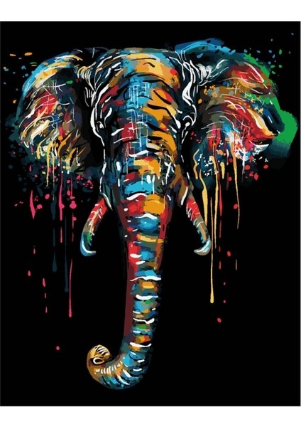 Canvas Renklerin Fili Sayılarla Boyama Seti Kasnaklı 40 x 50 cm indirimleri