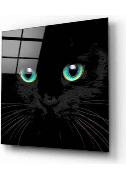 Marsilyan- Kedi Cam Tablo