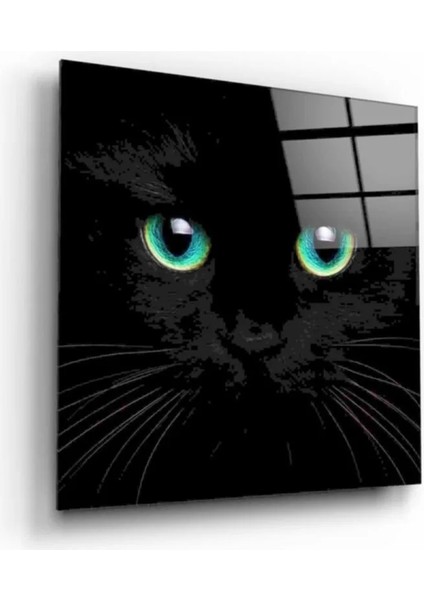 Marsilyan- Kedi Cam Tablo modelleri