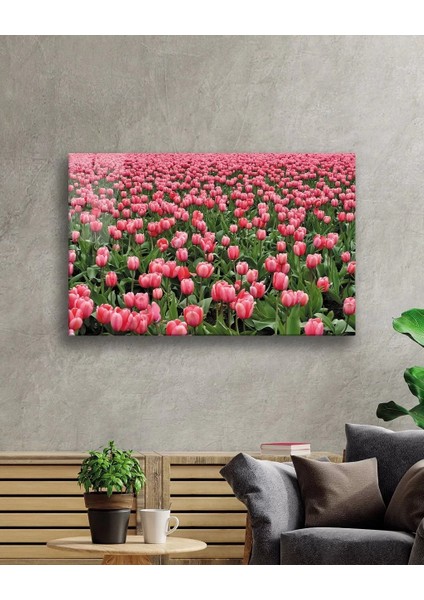 Marsilyan- Pembe Lale Çiçek Pink Tulip Flower fiyatları