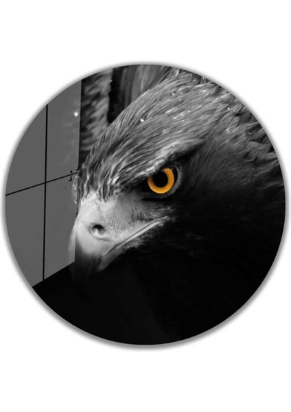 Marsilyan- Kartal Yuvarlak Cam Tablo 4mm Dayanıklı Temperli Cam