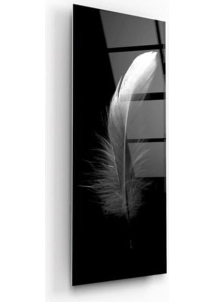 Marsilyan- Tüy Panoramik Cam Tablo modelleri