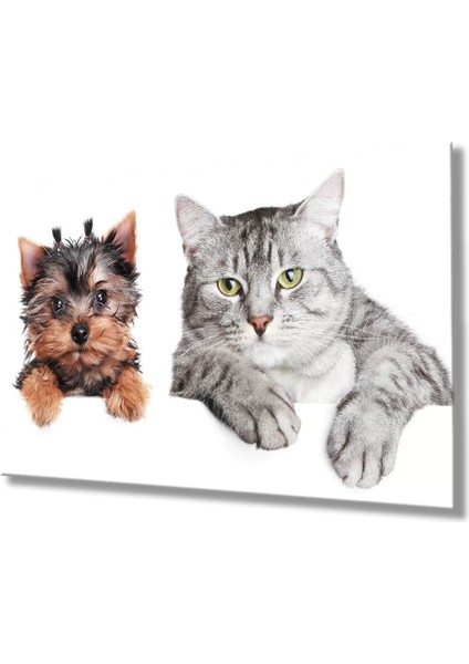 Marsilyan- Kedi ve Köpek Cam Tablo