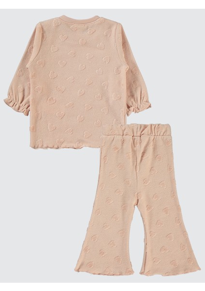 Kız Bebek Takım 6-18 Ay Pudra fiyatları