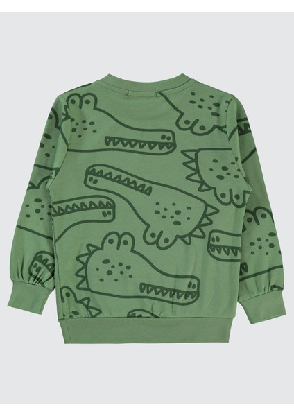 Erkek Çocuk Sweatshirt 2-5 Yaş Açık Haki fiyatları