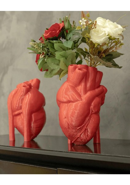 Anatomik Gerçekci Kalp Vazo 17 cm